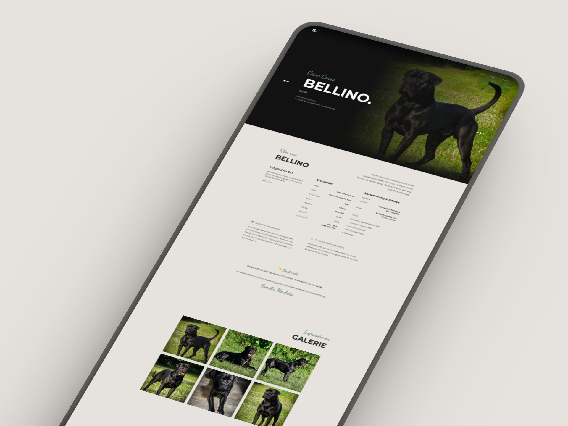 Bellino Fullpage Design