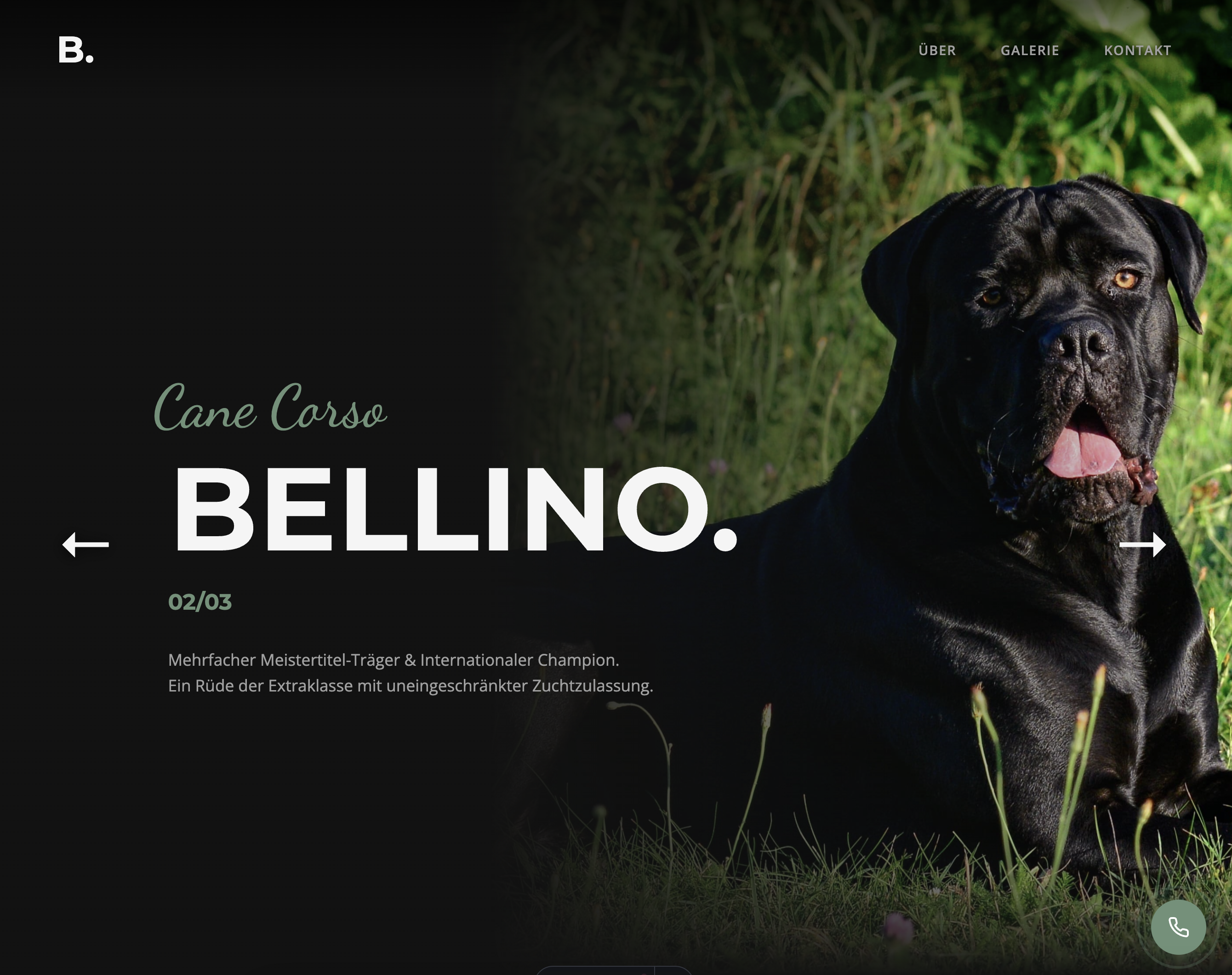 Bellino Website Hero