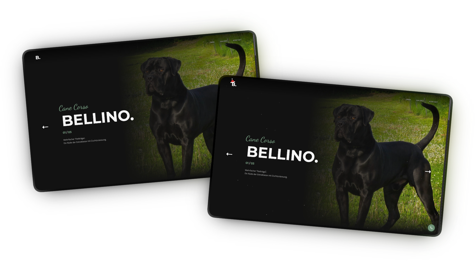 Vergleich Normal vs. Weihnachten